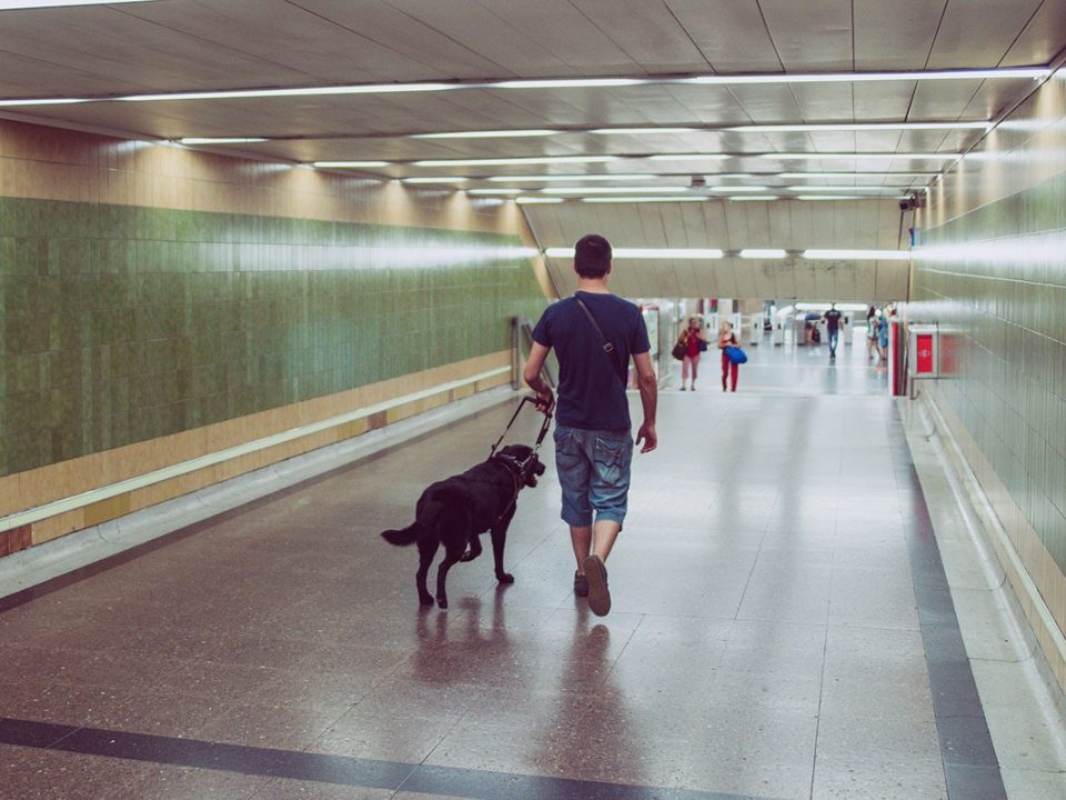 Pessoa cega com cão guia entrando no metrô